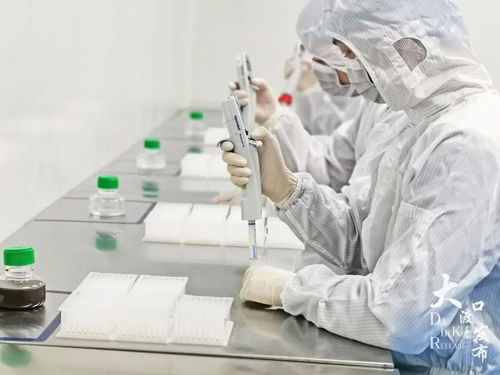 國內領先,打破國際壟斷 大渡口造微生物鑒定儀上線